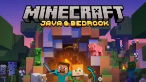 【MINECRAFT JAVA & BEDROCK】СМЕНА ПОЧТЫ【НЕ ПОДПИСКА】 3